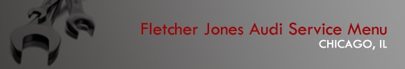 fj audi service menu.png