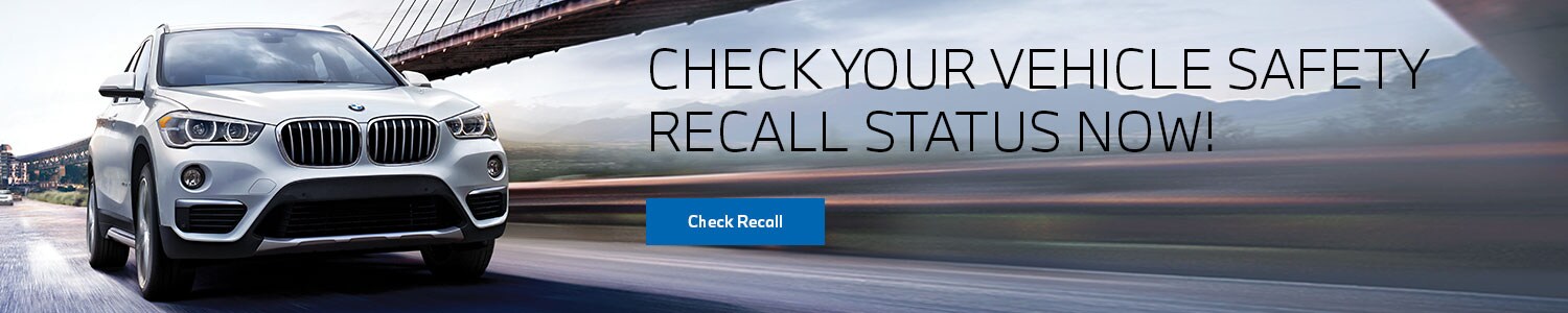 Recall-Skinny-Banner.jpg