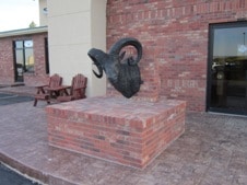 Rams Head.jpg