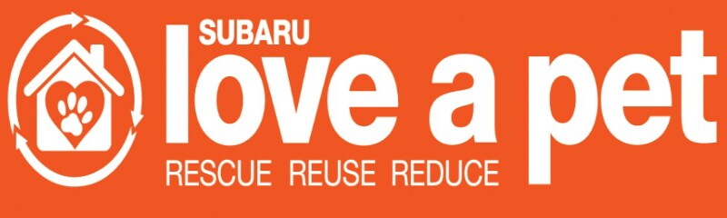 Love your pet2.jpg