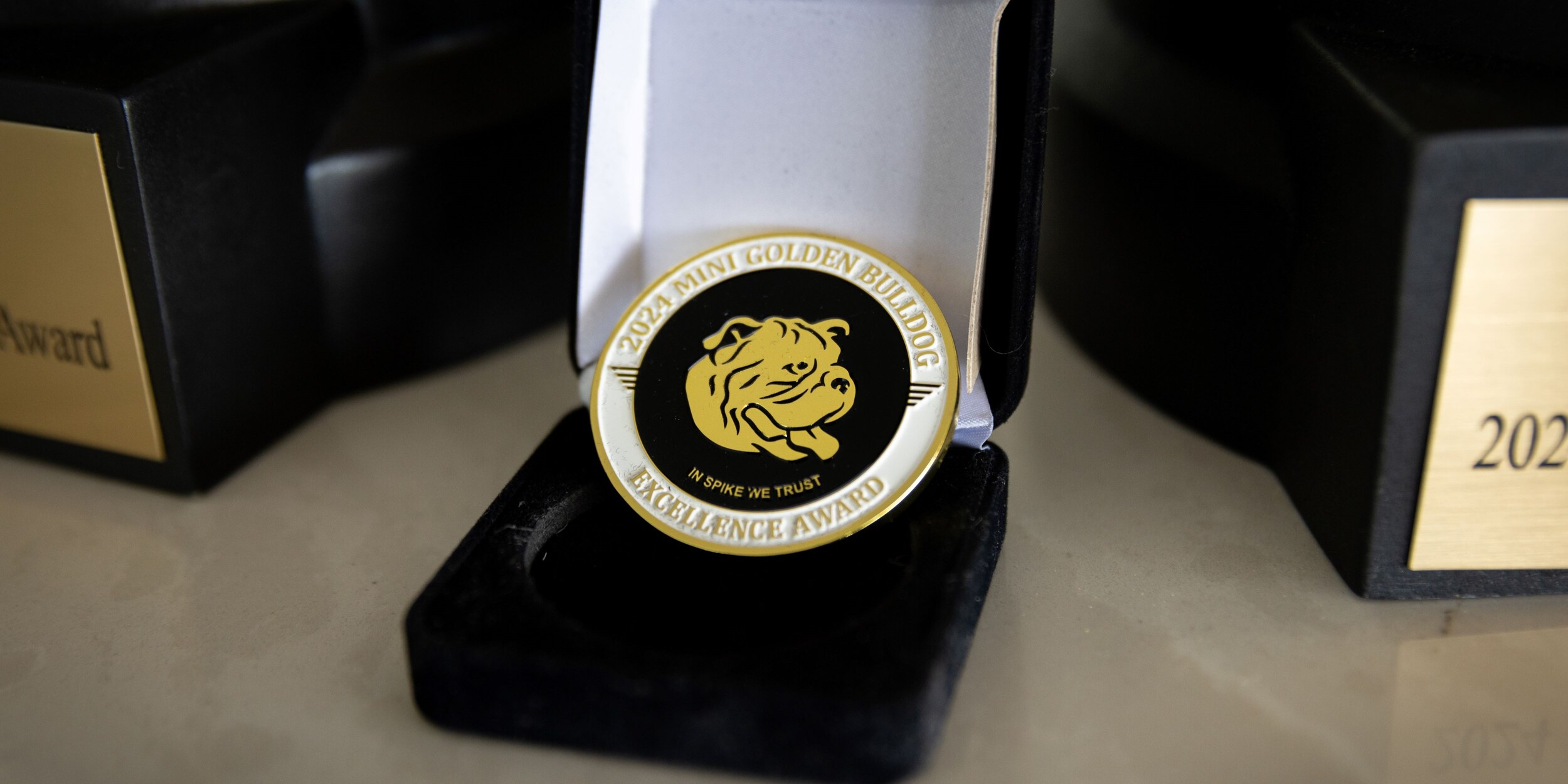 2024-Golden-Bulldog-Award.jpg The golden Bulldog Award is the highest honor that a MINI dealership can receive. Flow MINI has won the award every year since the awards inception in 2022