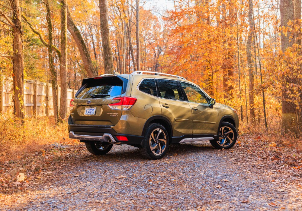 subaru-certified-pre-owned-cars-burlington.png Subaru Forester SUV parked in a wooded area with trees with orange leaves in the background