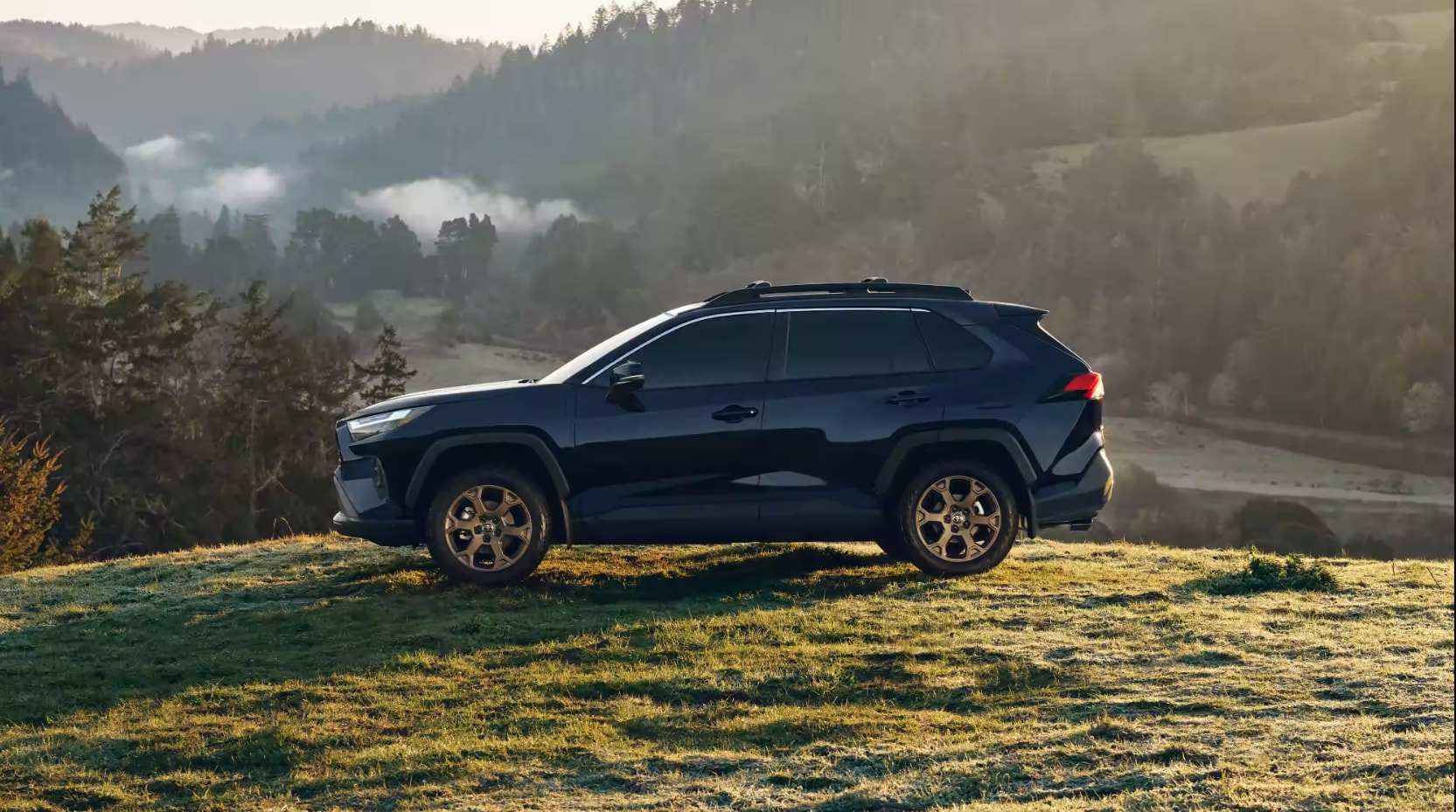 Toyota-RAV4-2023.png