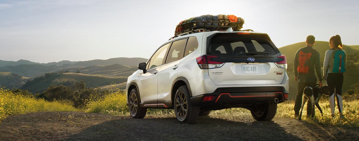 North Carolina Subaru Dealer - 2021 Forester.jpg A couple and their dog are standing next to a white 2021 Subaru Forester overlooking mountains after leaving a North Carolina Subaru dealer.