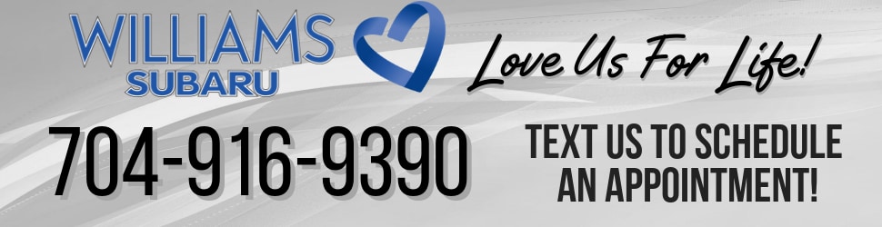 WSUB_03-2019_Text Service.png
