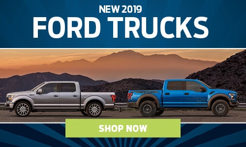 2020-03-forestfordfd-08627659-19FordTrucks-SP.jpg
