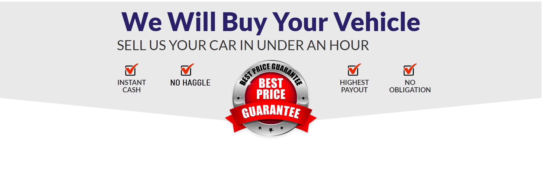 We.will.buy.your.vehicle.png