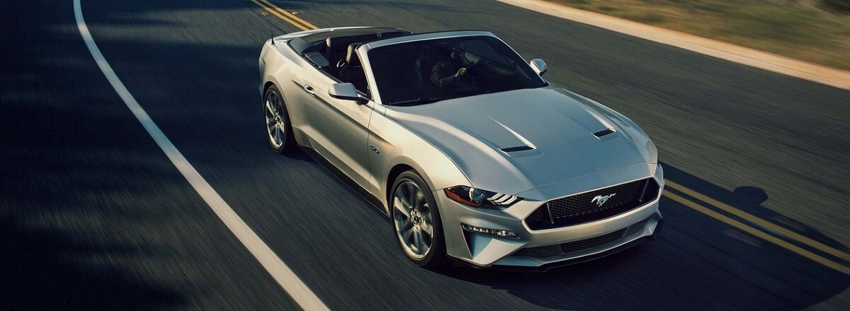 mustang banner.jpeg