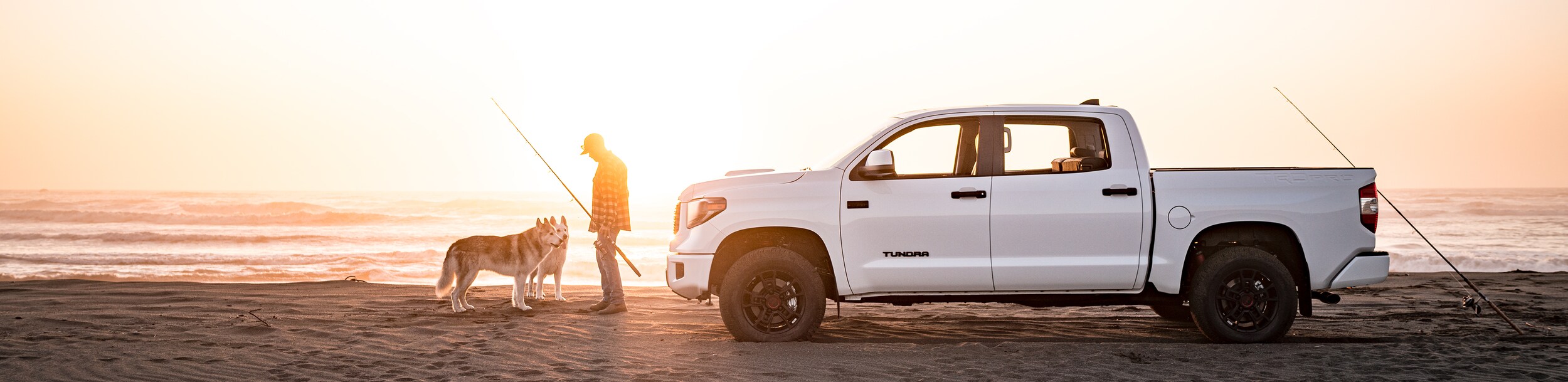 2021-Toyota-Tundra-TRDPro-CrewCab-StandardBed-Truck-L09.png