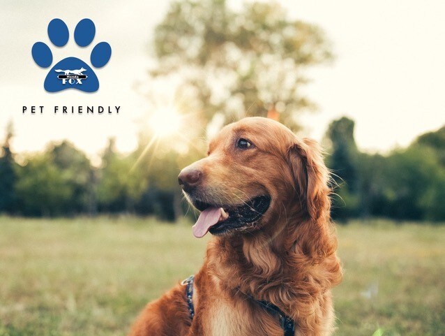 pet-friendly1.jpg