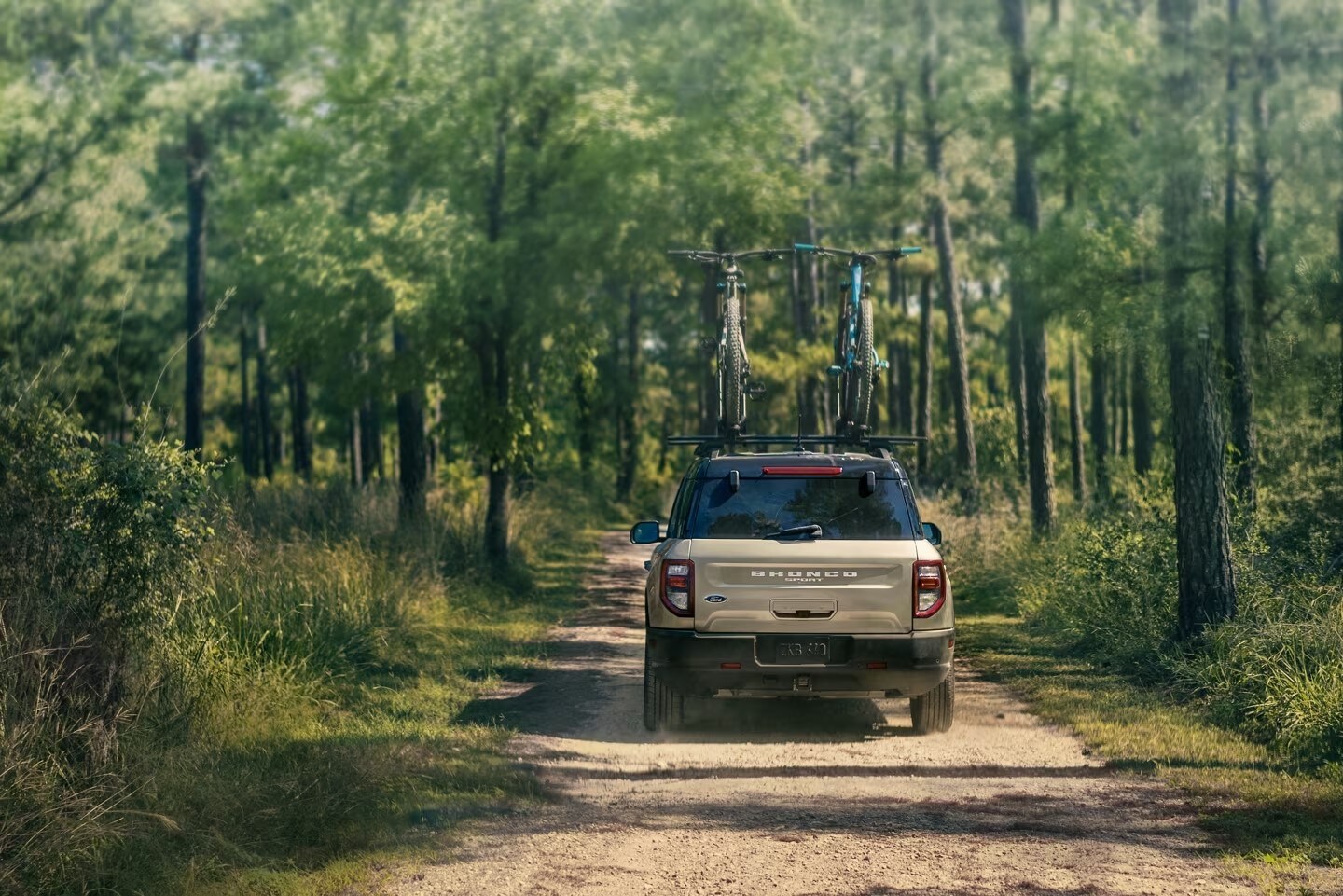 2024 Ford Bronco® Sport High performance in various terrains are possible when properly equipped.