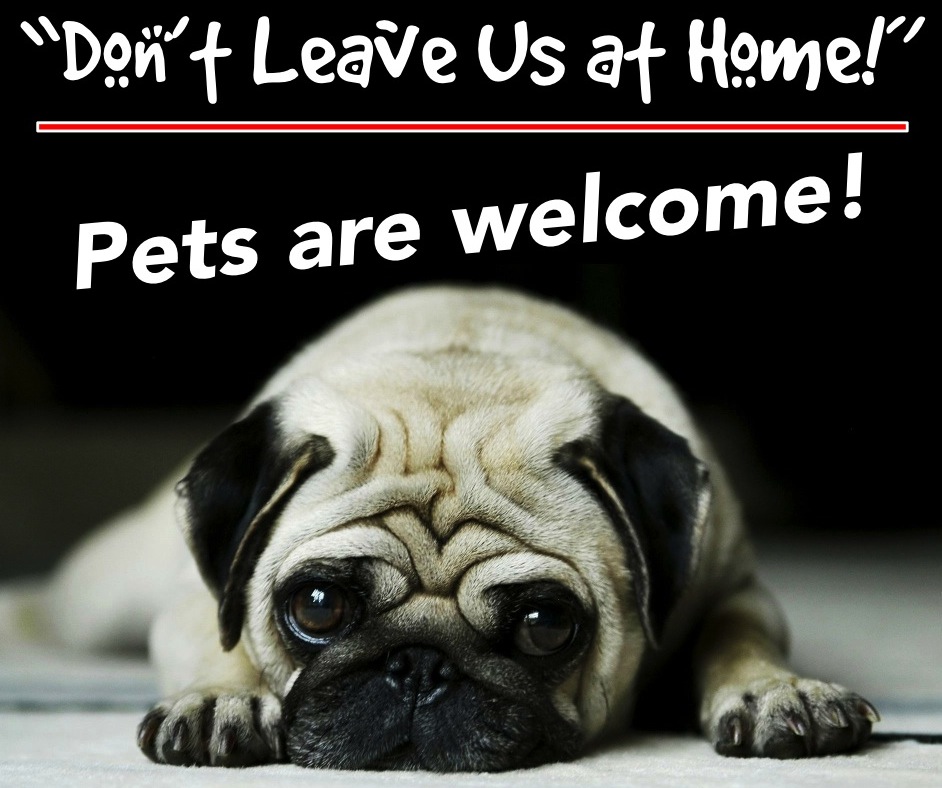 Dogs are welcome.jpg