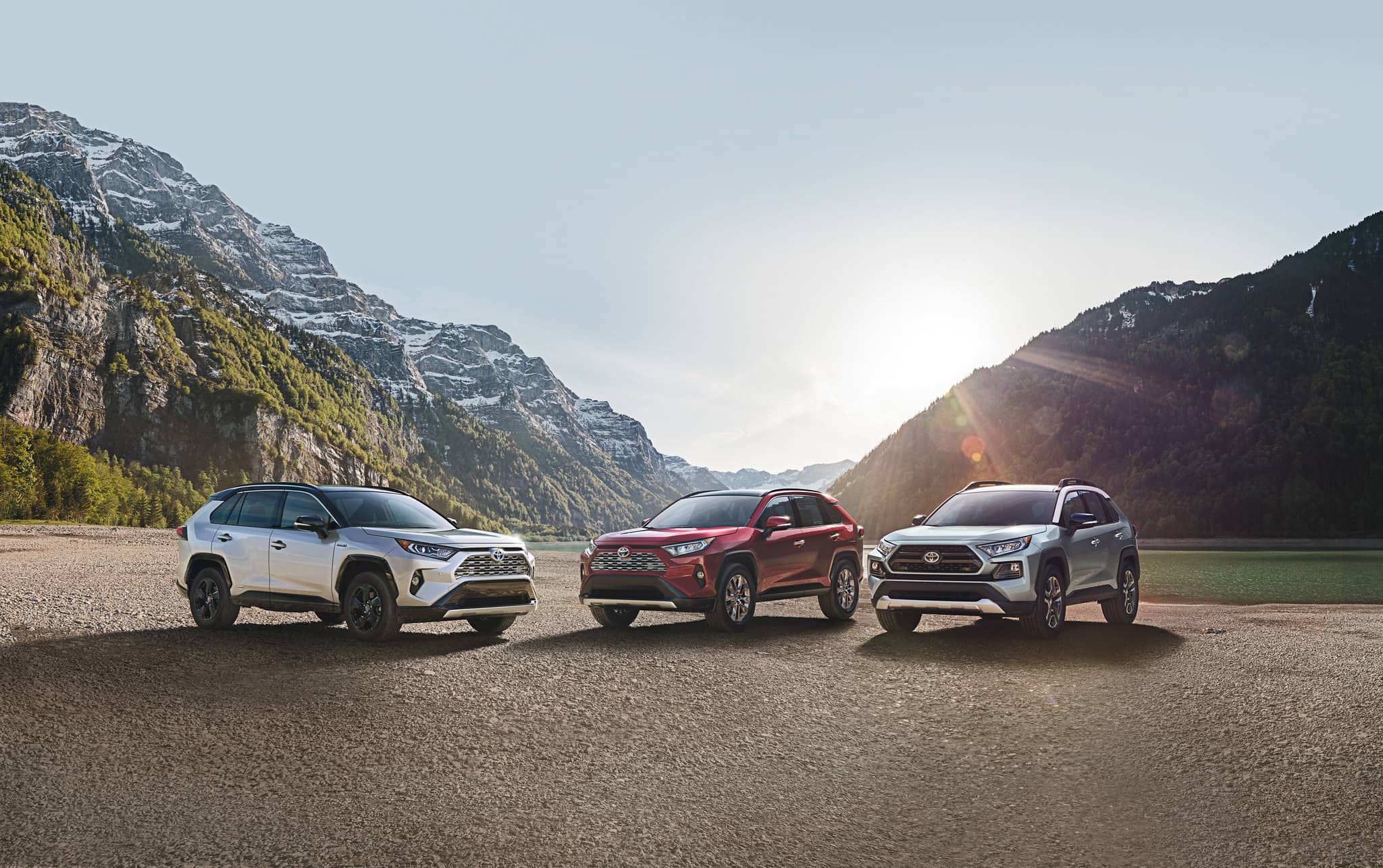 2019 Toyota RAV4 Lineup.jpg 2019 Toyota RAV4 Lineup | Auburn, NY