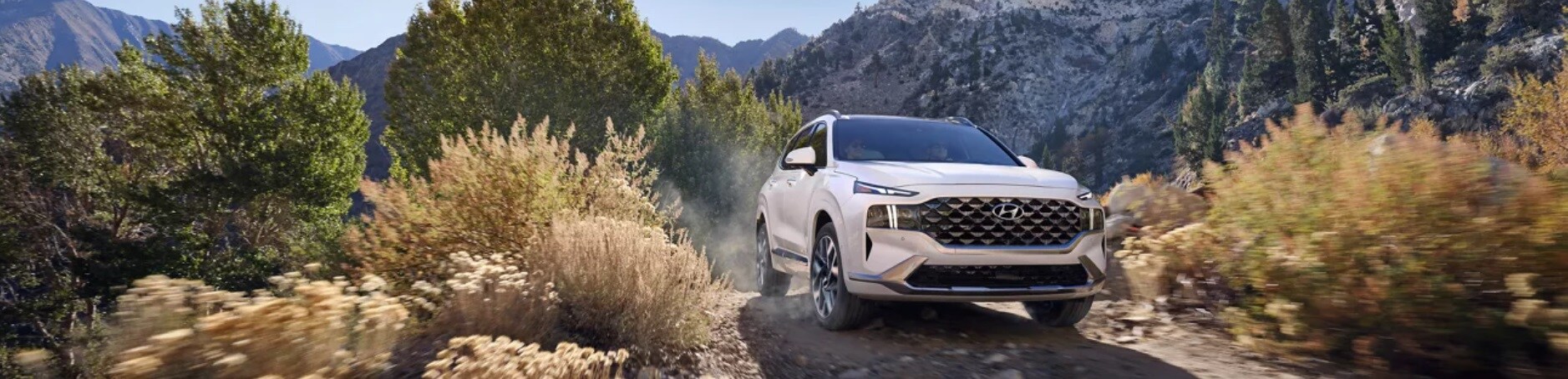 2023 Hyundai Santa Fe.jpg