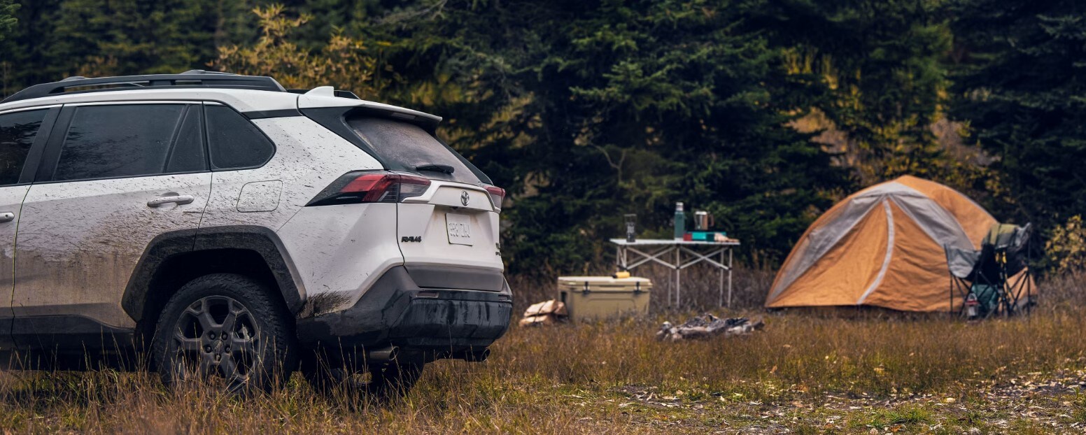 Learn%20More%20About%20the%20RAV4.jpg