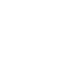 FoxMotors_CareerPageElements_Home_Icon-Advancement.png