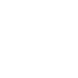 FoxMotors_CareerPageElements_Home_Icon-Discount.png