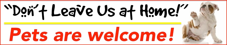 Dogs are welcome
3.jpg