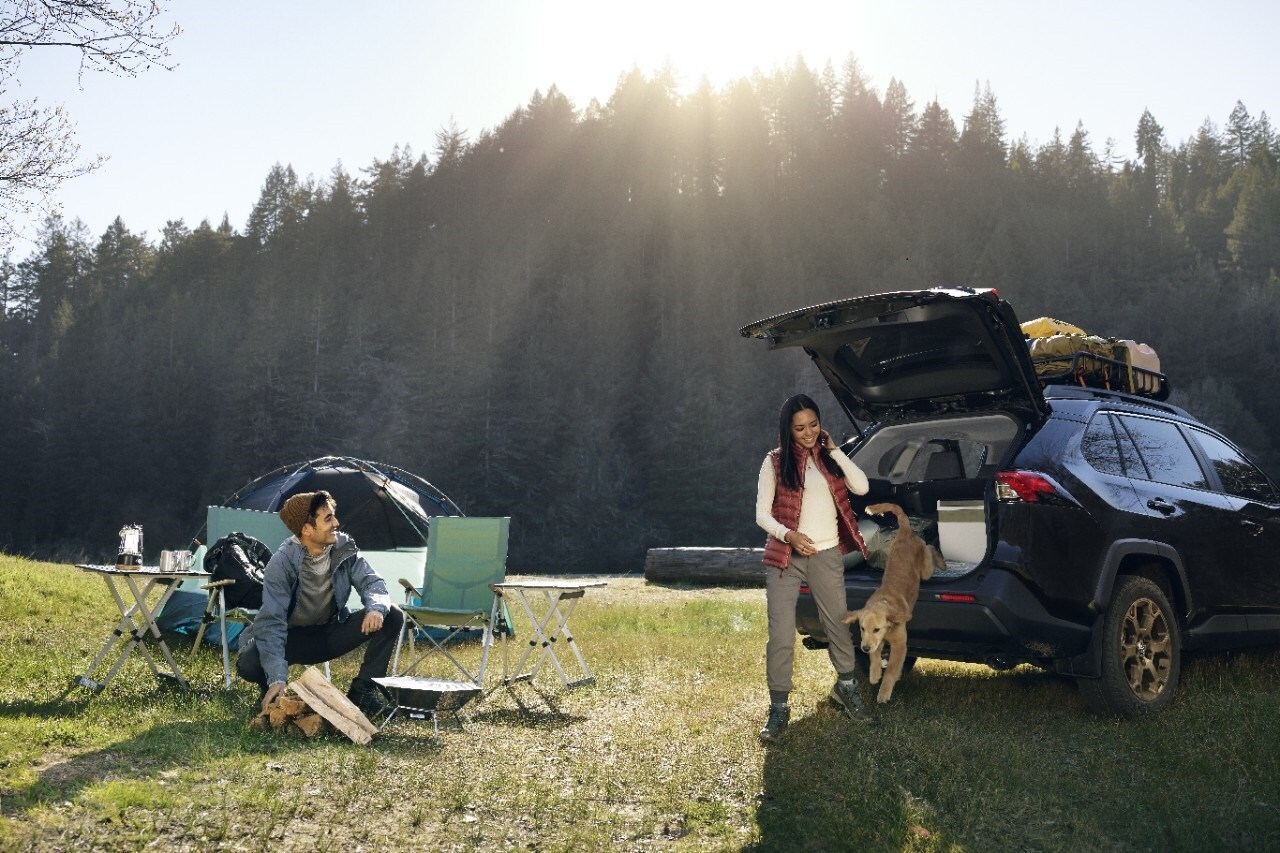 Leave Your Toyota in Great Hands