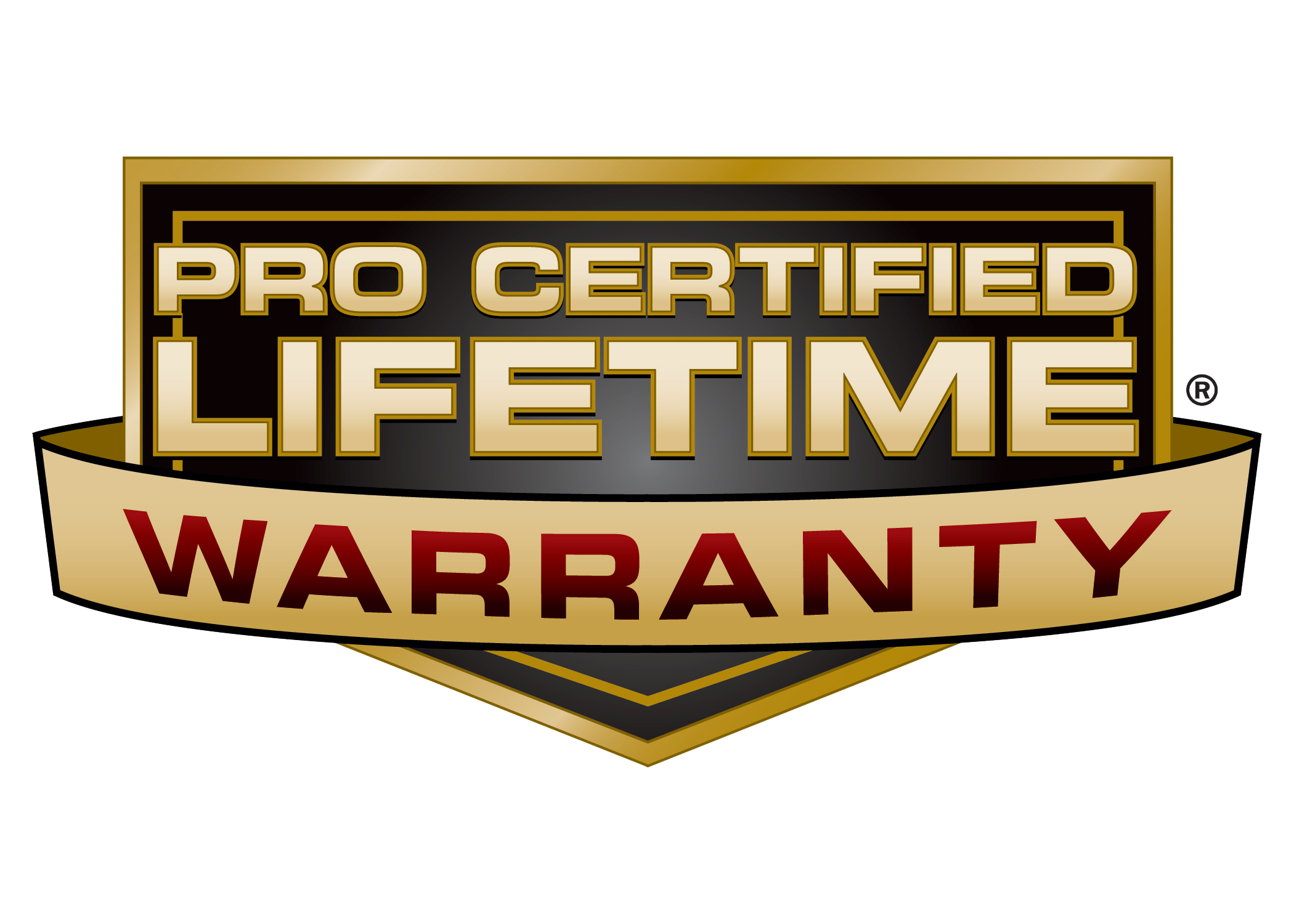 Lifetime Logo.png