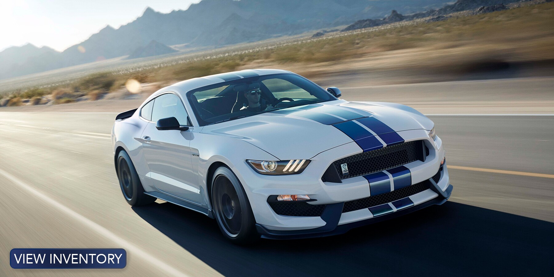 Mustang.jpg