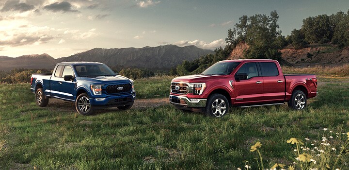 2 Ford F-150s in a Field 2 Ford F-150s in a Field