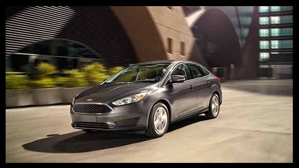 16 Focus Framed.jpg