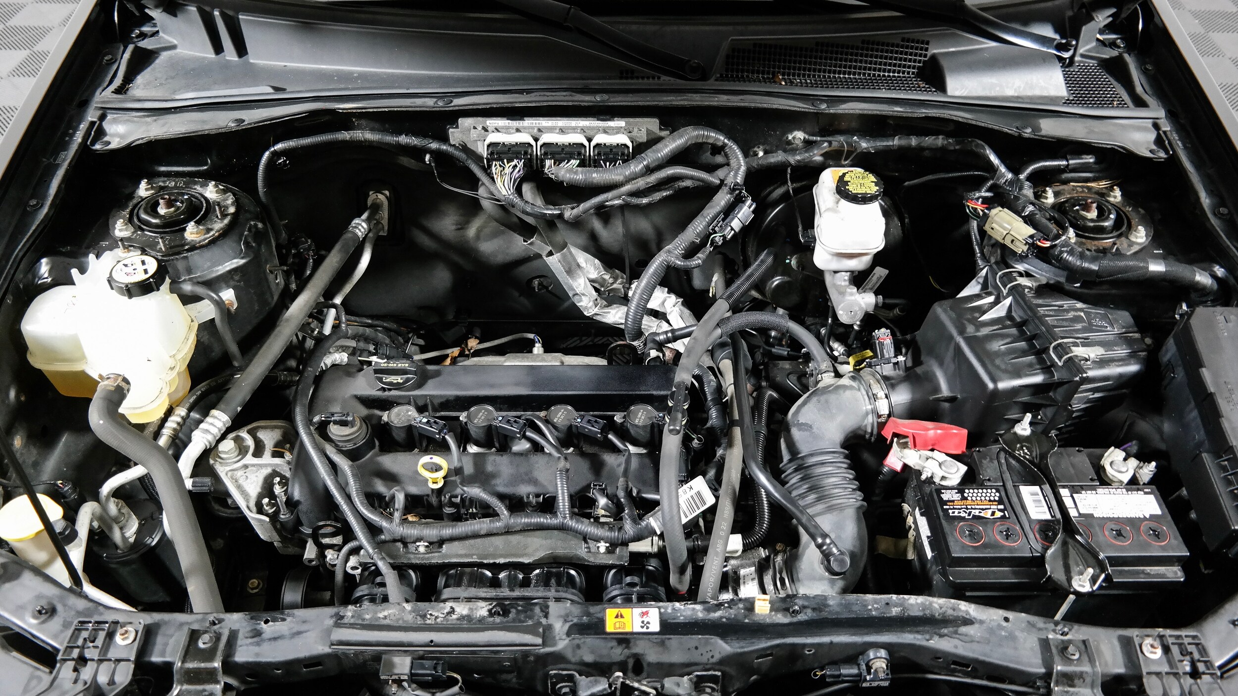 Photo Feb 03, 3 01 12 AM.jpg