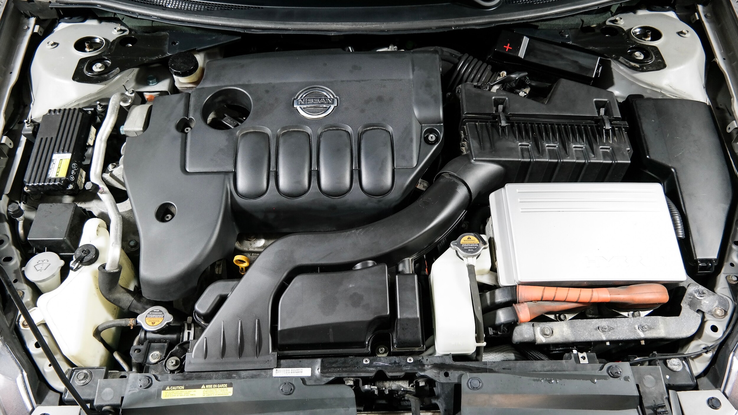 Photo Feb 03, 1 58 04 AM.jpg