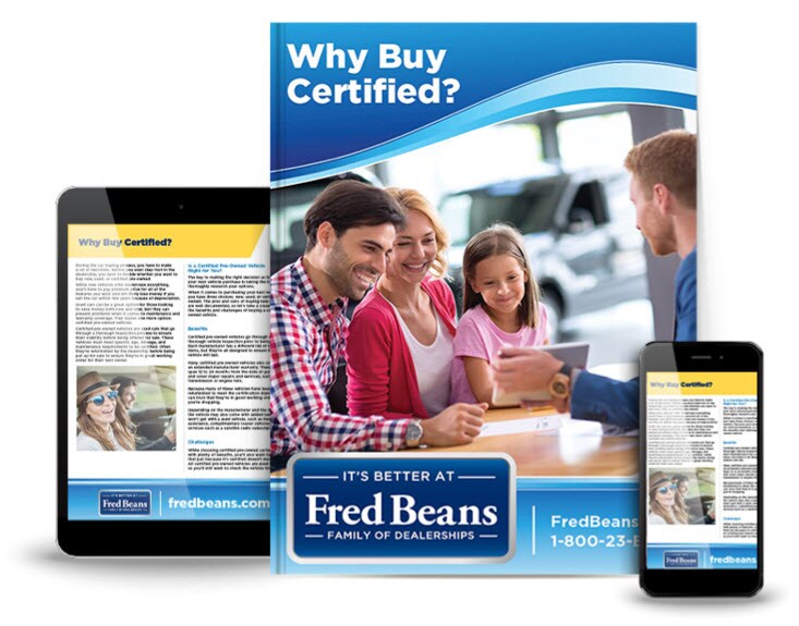 beans-ebook.jpg