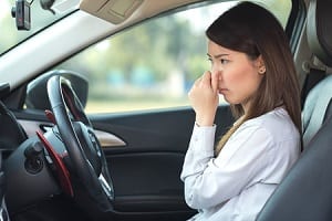 Smell-in-car