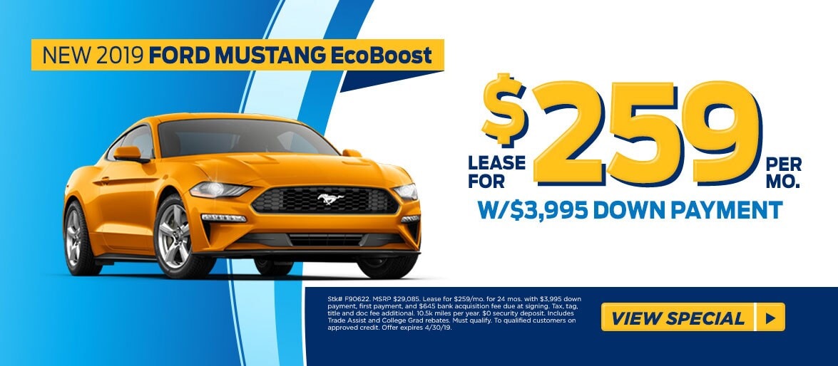 mustang.jpg