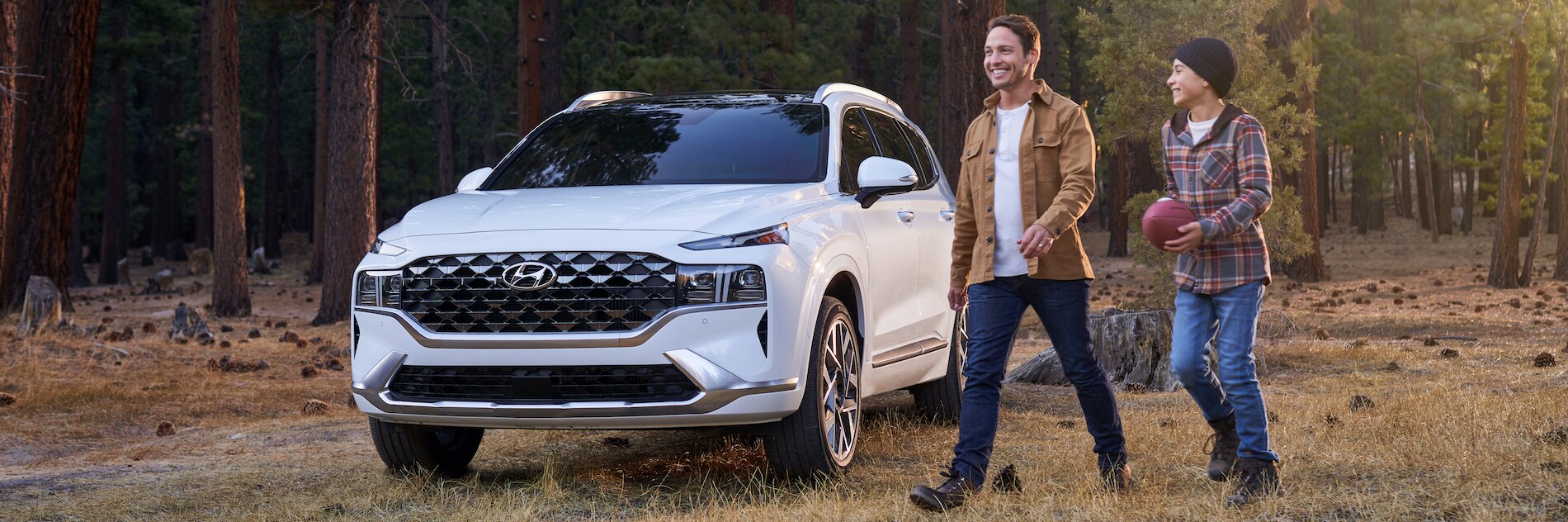 Hyunadi Sante Fe White