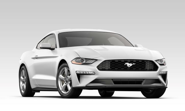 2019 Mustang EcoBoost Fastback Oxford White