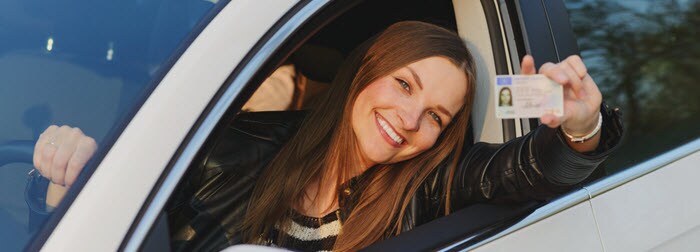drivers license banner.jpg