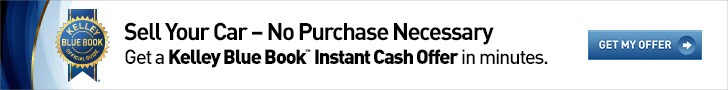 No purchase ICO.jpg