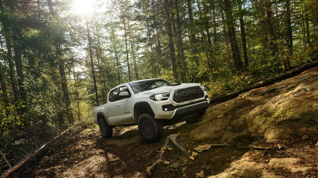 New 2023 Toyota Tacoma near me - Serving Tomball, TX