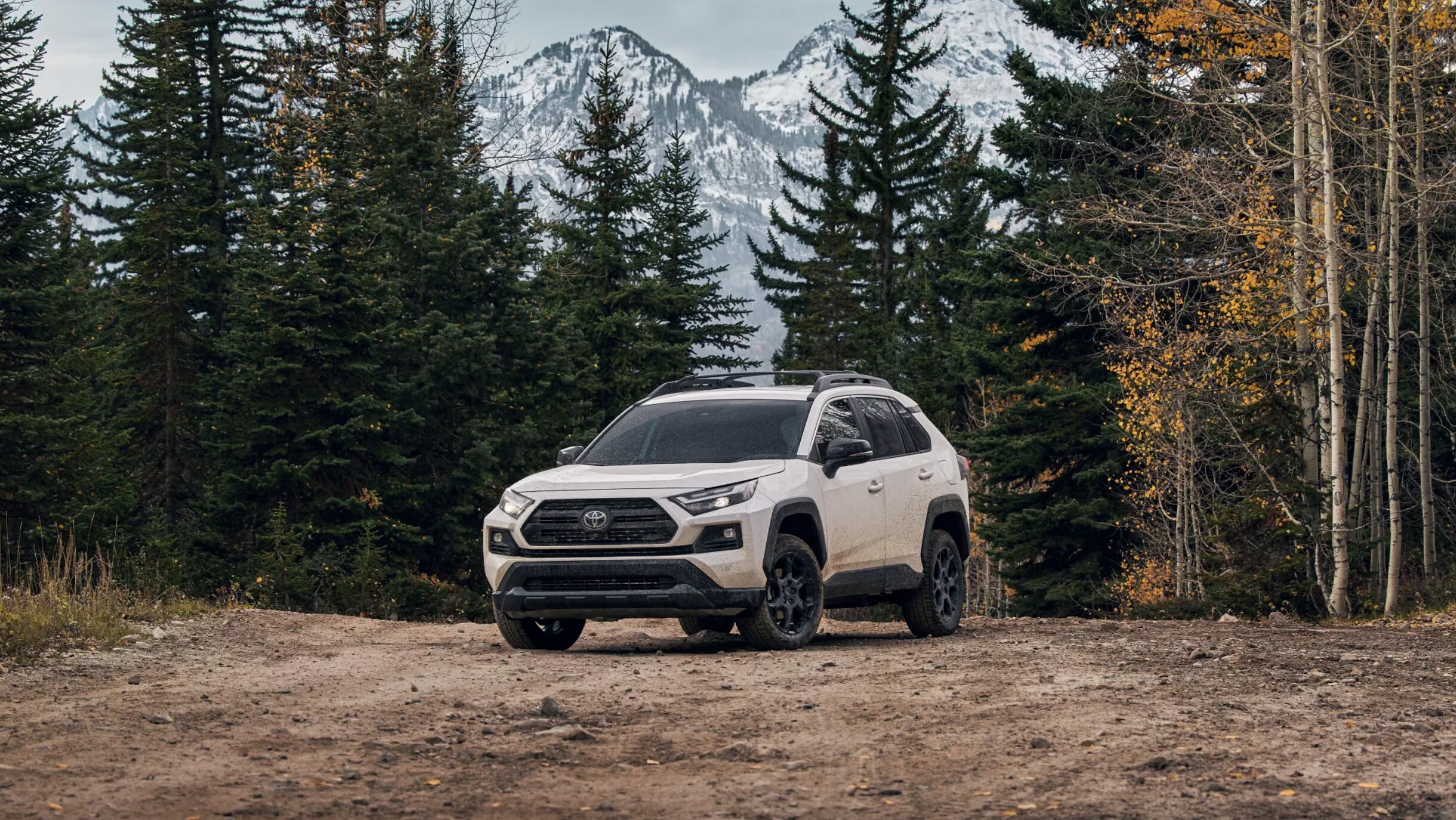 New 2022 Toyota RAV4 Near Me in Spring, TX