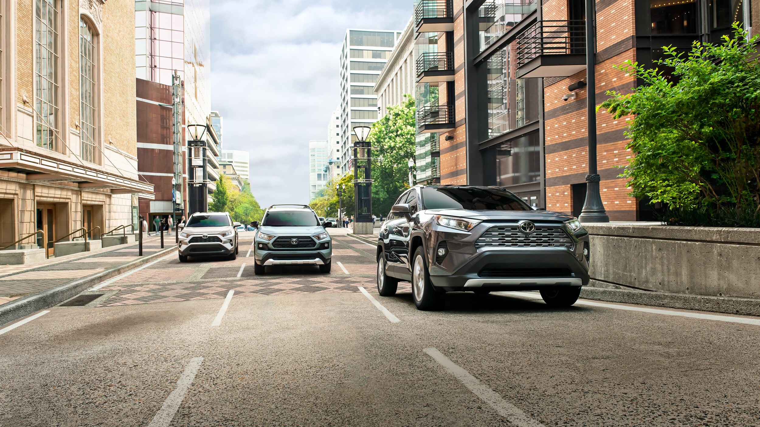2019 Toyota RAV4 in Texas.jpeg