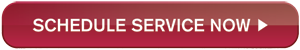 Nissan-XTime-Button.png
