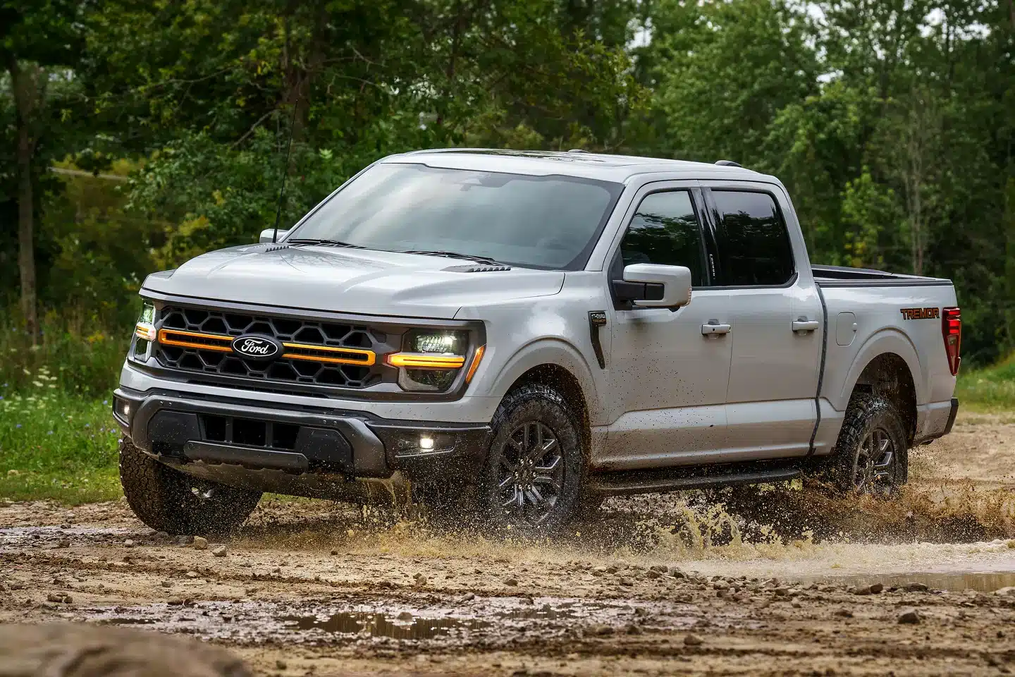 Trims 2024 Ford F-150 Trims