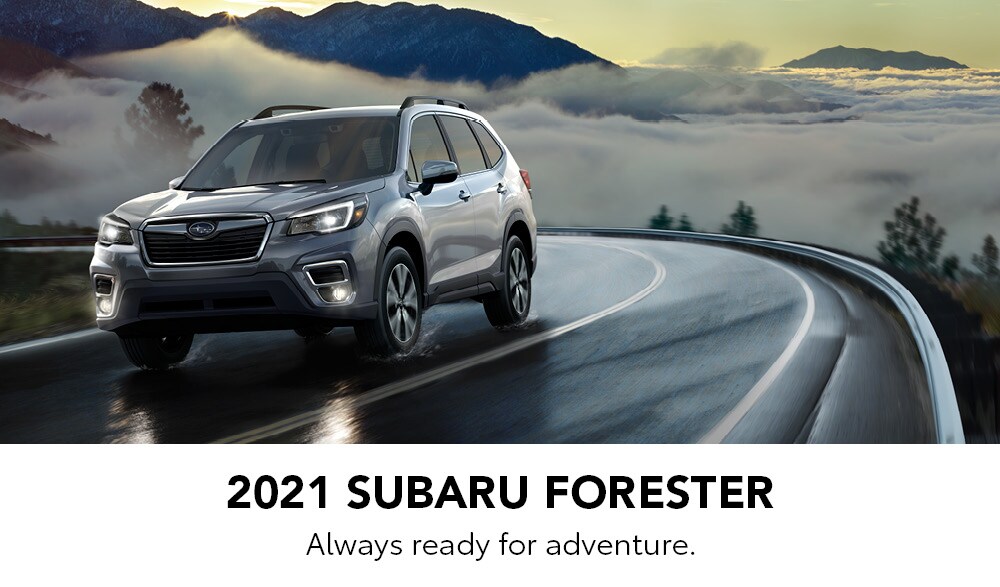 forester_landing_.jpg