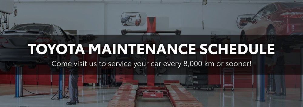 Toyota Maintenance