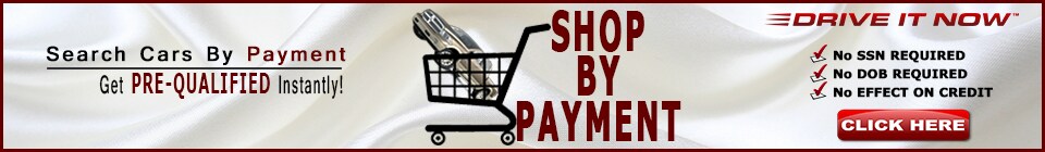 Shop By Payment_960.png