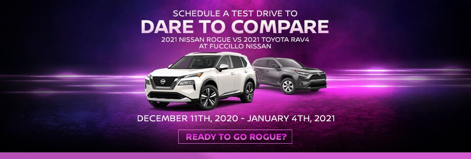 rogue-conquest-banner-2-dec-2020-1.jpg