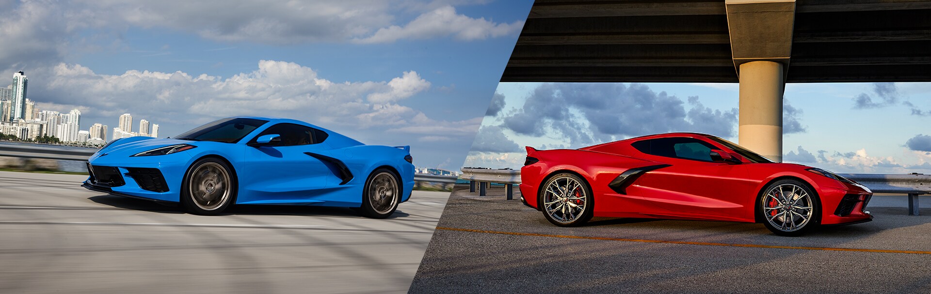 2023%20vet%20stingray%20vs%2024%20vet%20stringray.jpg