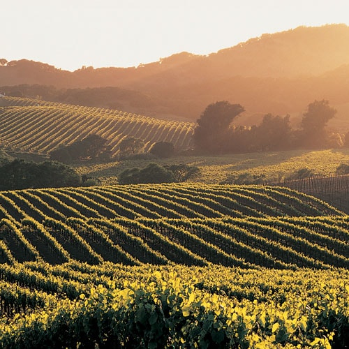 napa.jpg