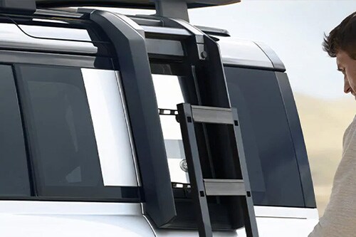 Roof-Ladder.jpg