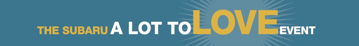 A_Lot_To_Love_Masthead_Cut.png