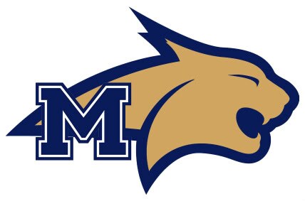 MSU.jpg